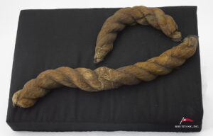 A short piece of thick rope is attached to a black board for exhibition.
